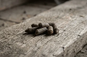 Granulés de bois gris alignés sur surface béton texturée