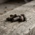 Travaux-durable.fr​ : Découvrir ce média Bricolage & Déco